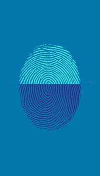 Automatic Scanning